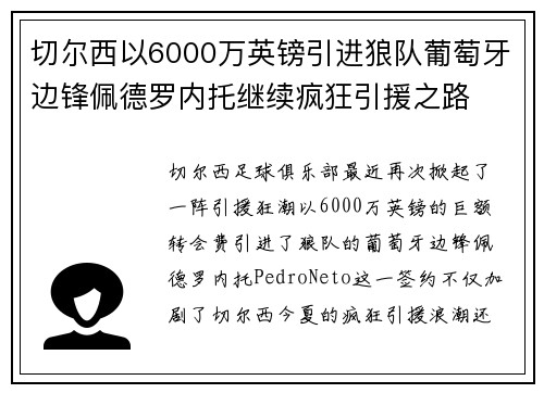 切尔西以6000万英镑引进狼队葡萄牙边锋佩德罗内托继续疯狂引援之路